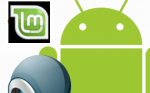 droidcam-phone-Linux Mint