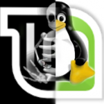 root Linux mint