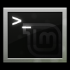 319__100x100_terminal-linux-mint