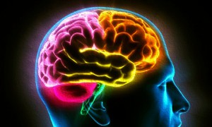 Visual of Man's Brain