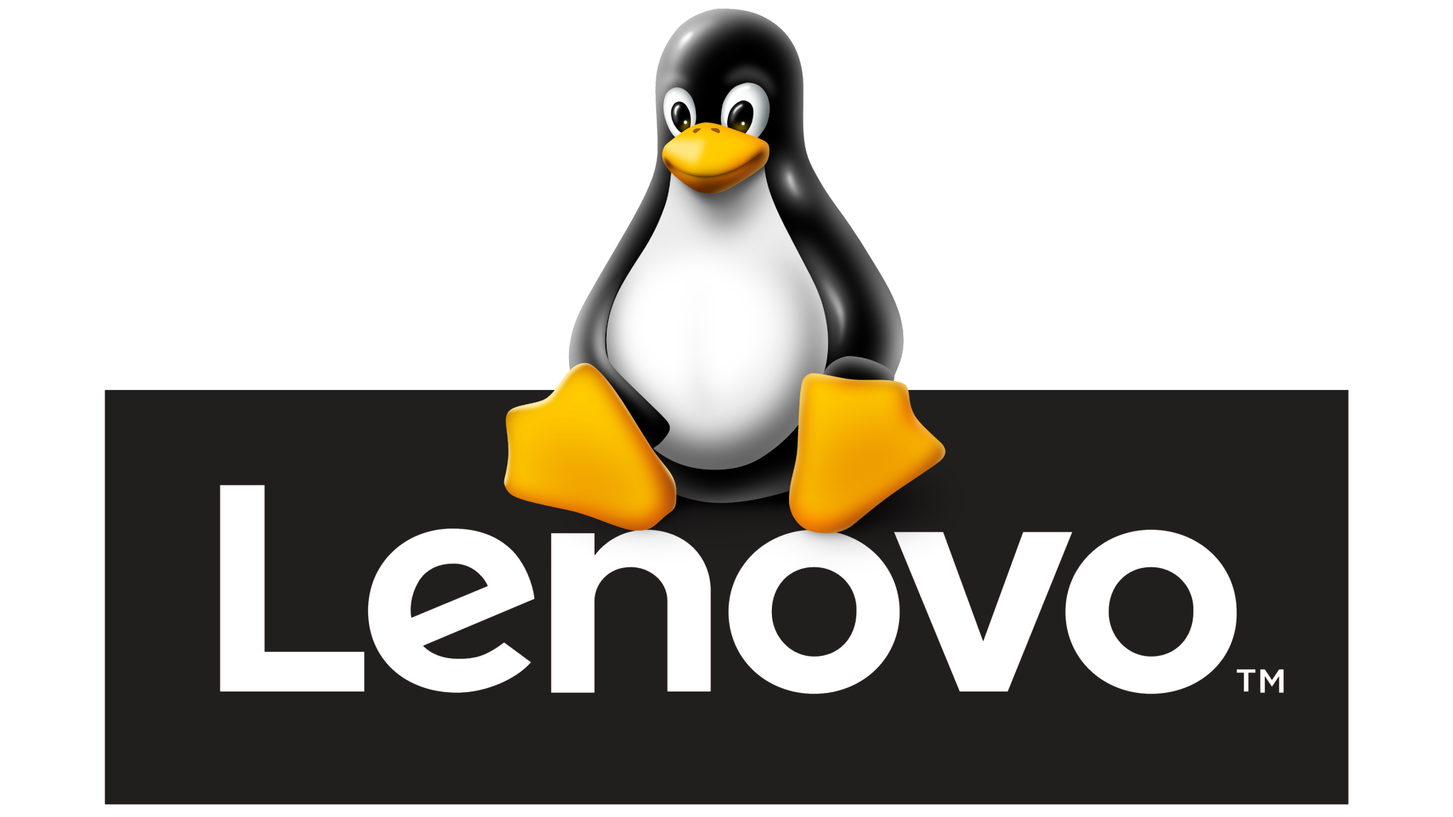 Thinkpad linux. THINKPAD Linus.